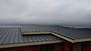 Best Steel Roofing  in Paulina, LA